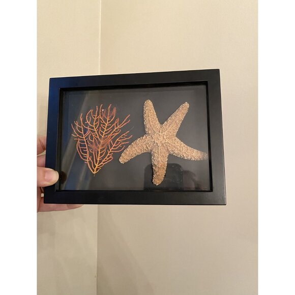 Framed Starfish & Coral Display Wall Art Decor - Picture 3 of 6